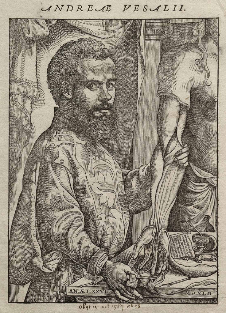 Andreas Vesalius fotka