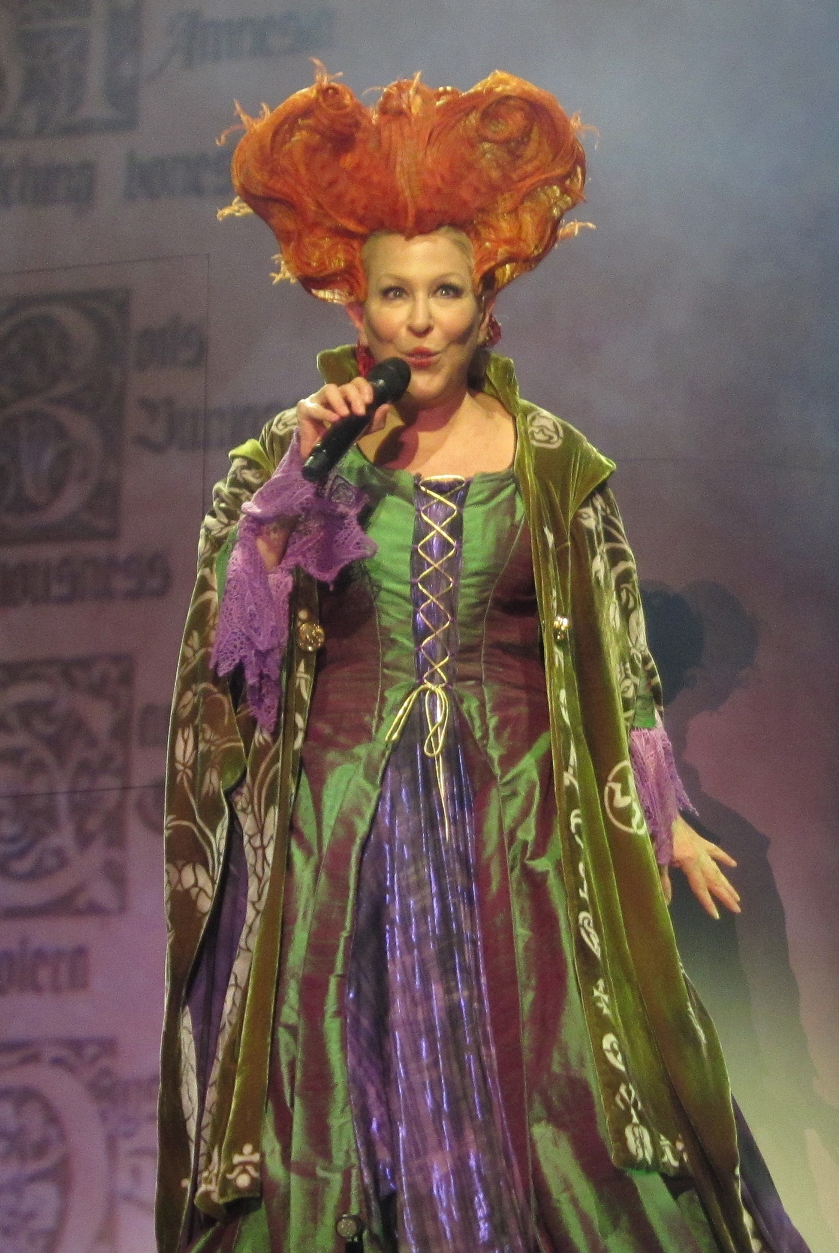 Bette Midlerová fotka