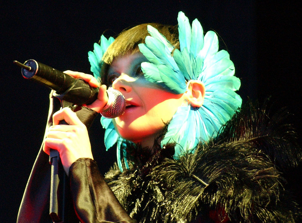 Björk fotka