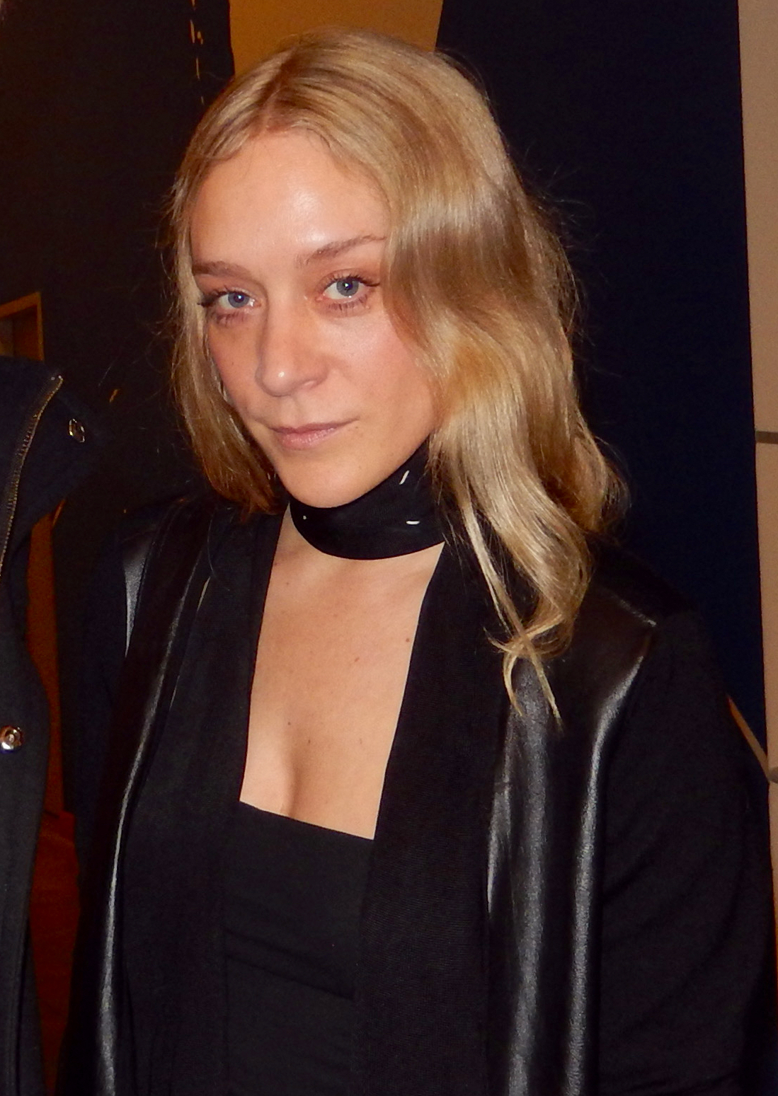 Chloë Sevigny fotka