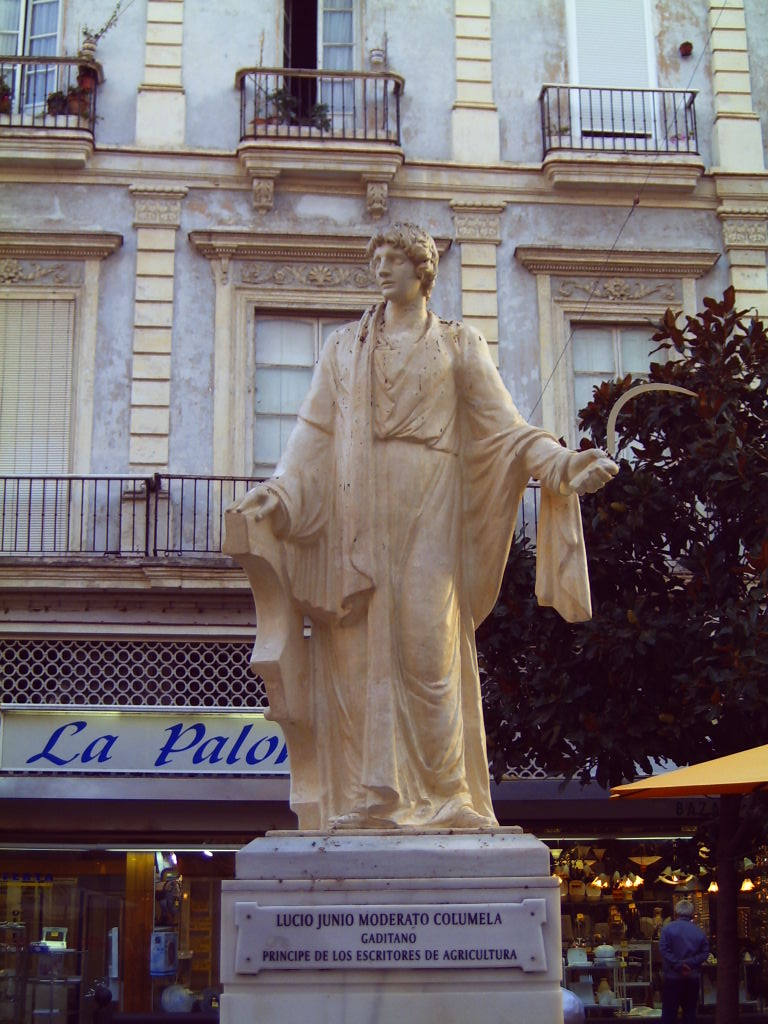 Columella fotka