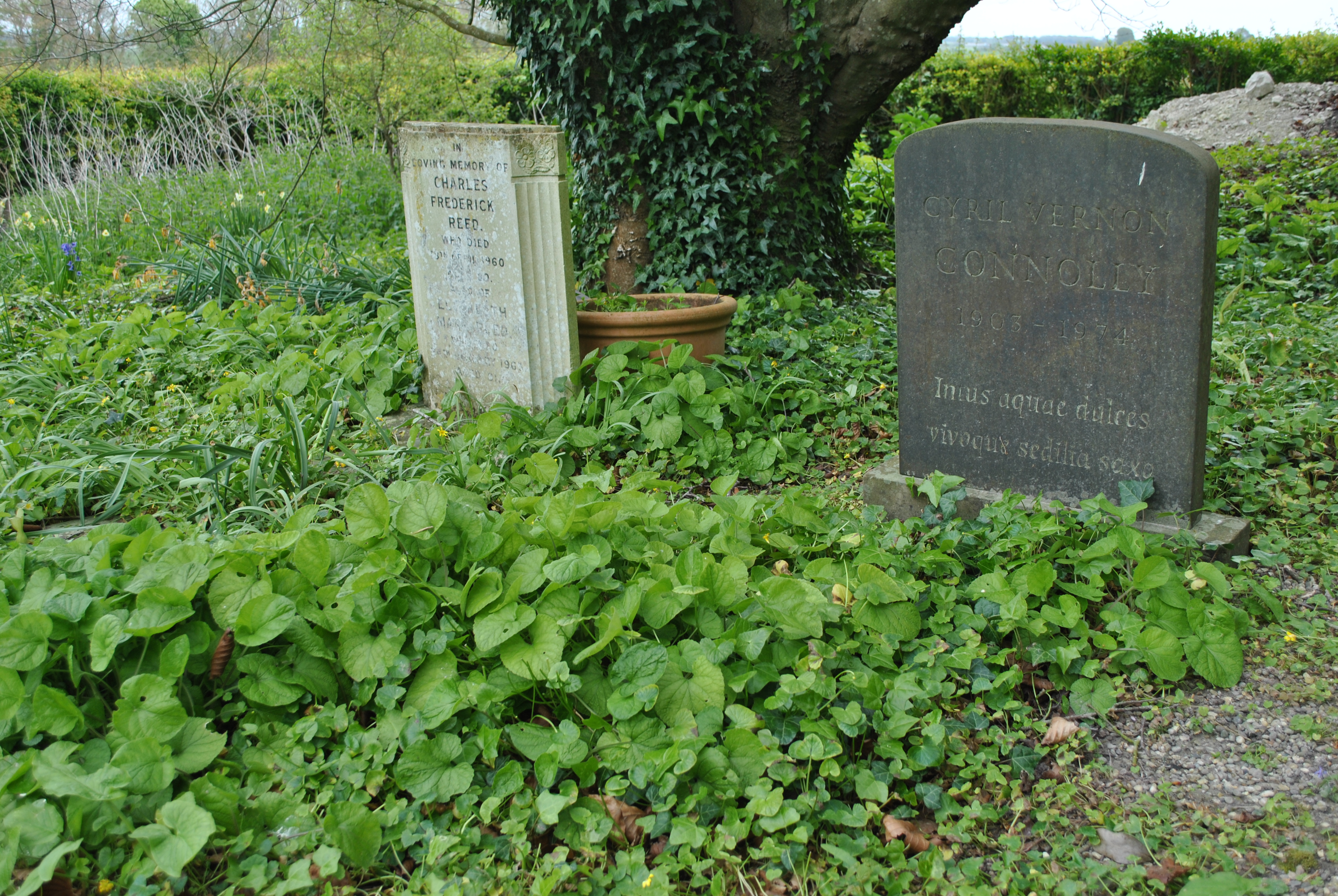 Cyril Vernon Connolly fotka
