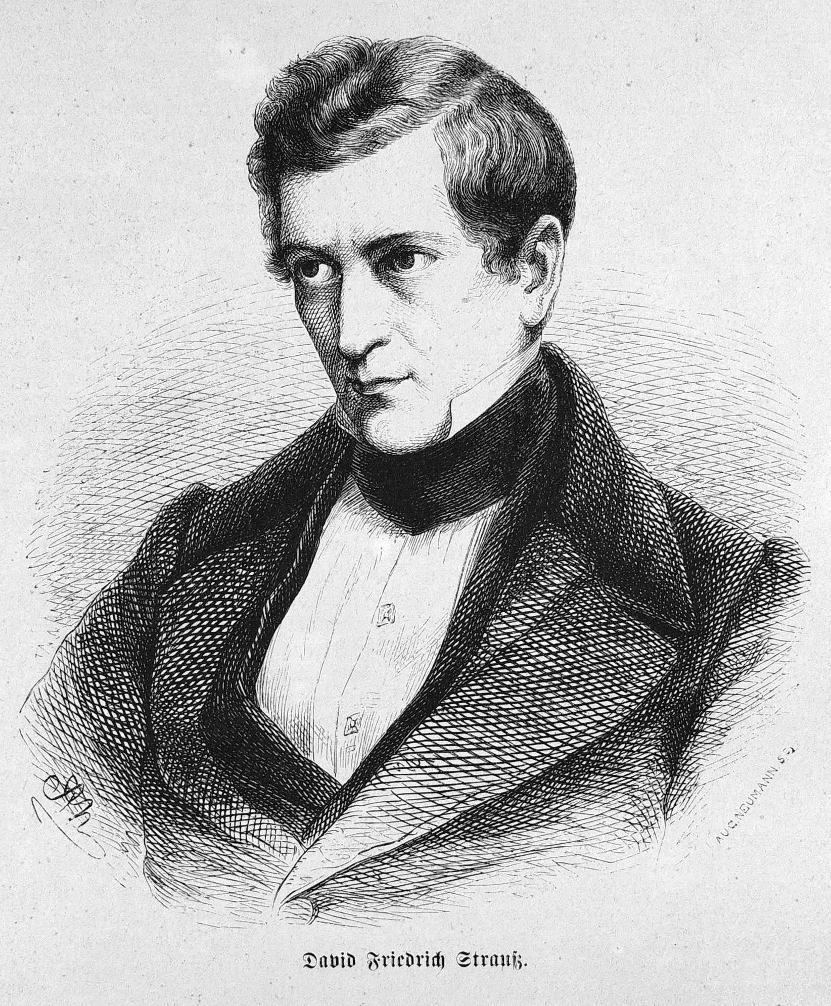 David Strauss fotka