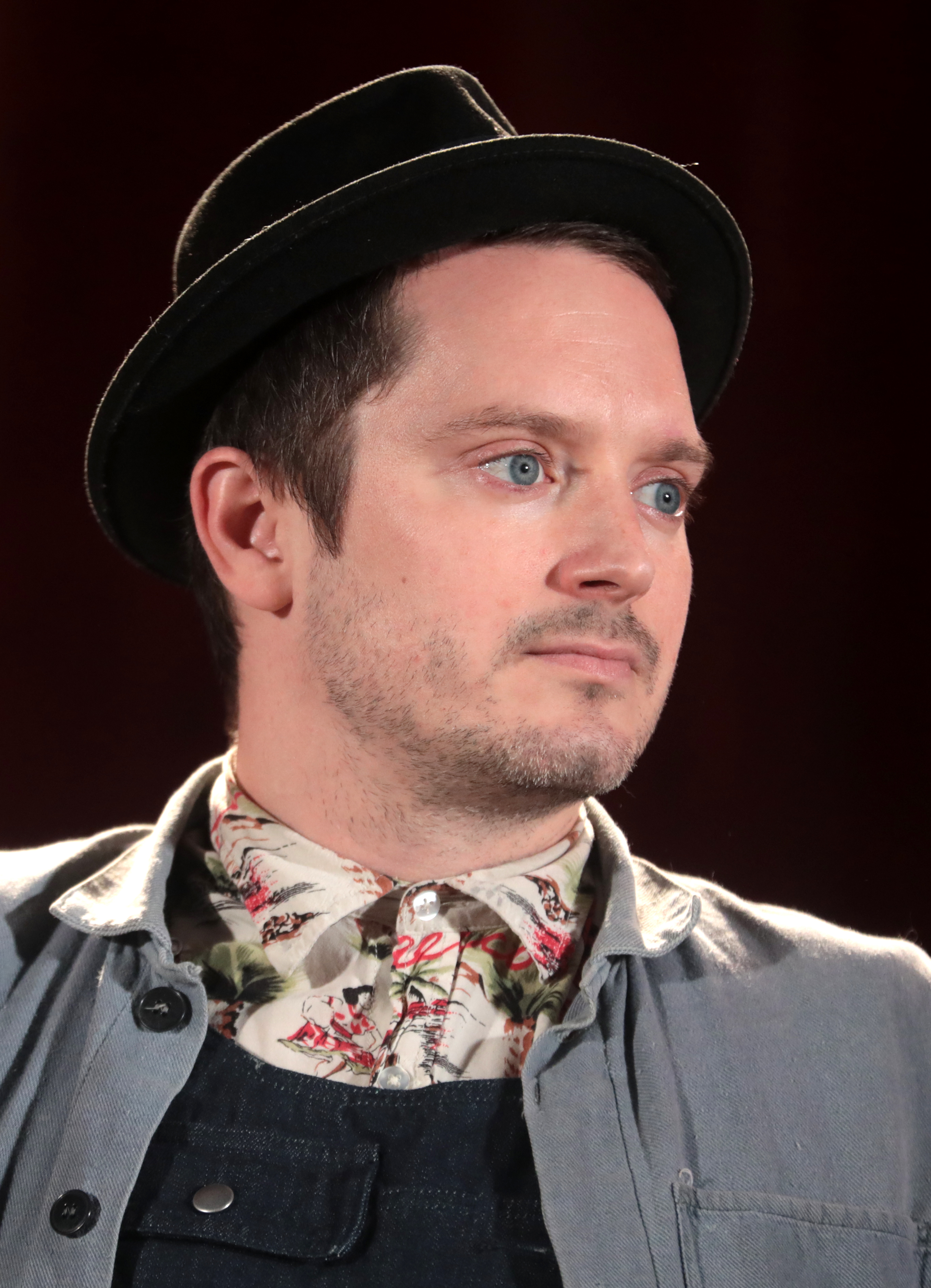 Elijah Wood fotka