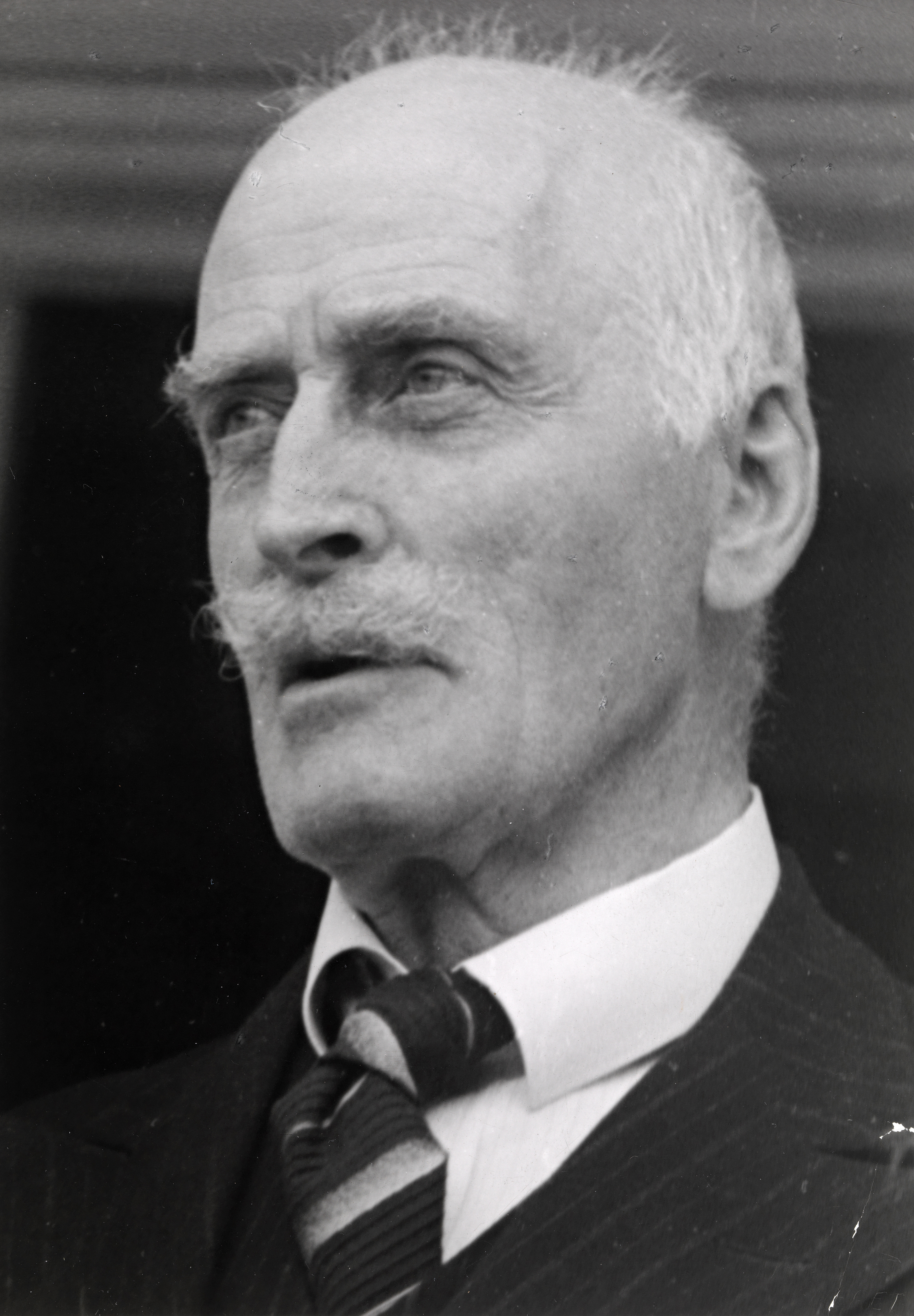 Knut Hamsun fotka