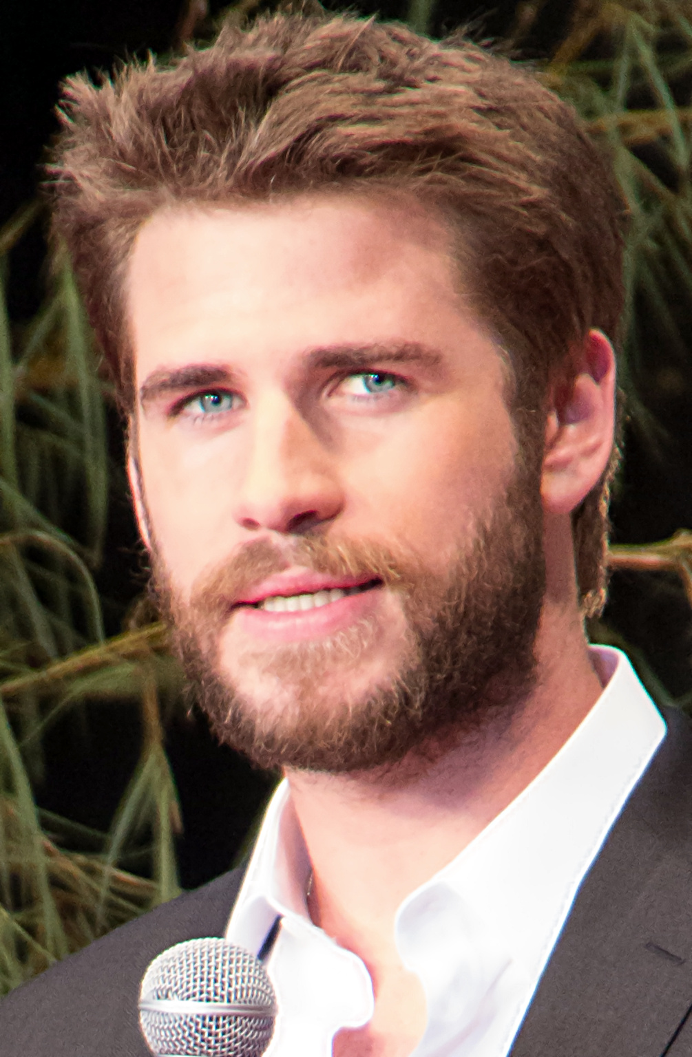 Liam Hemsworth fotka