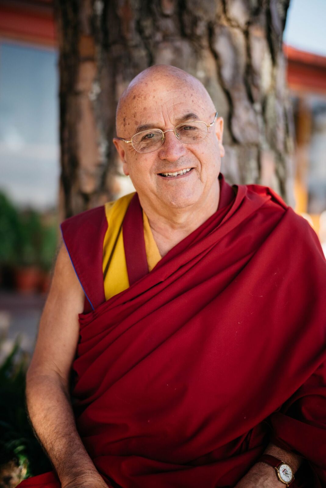 Matthieu Ricard fotka