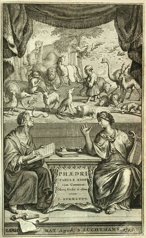 Phaedrus fotka