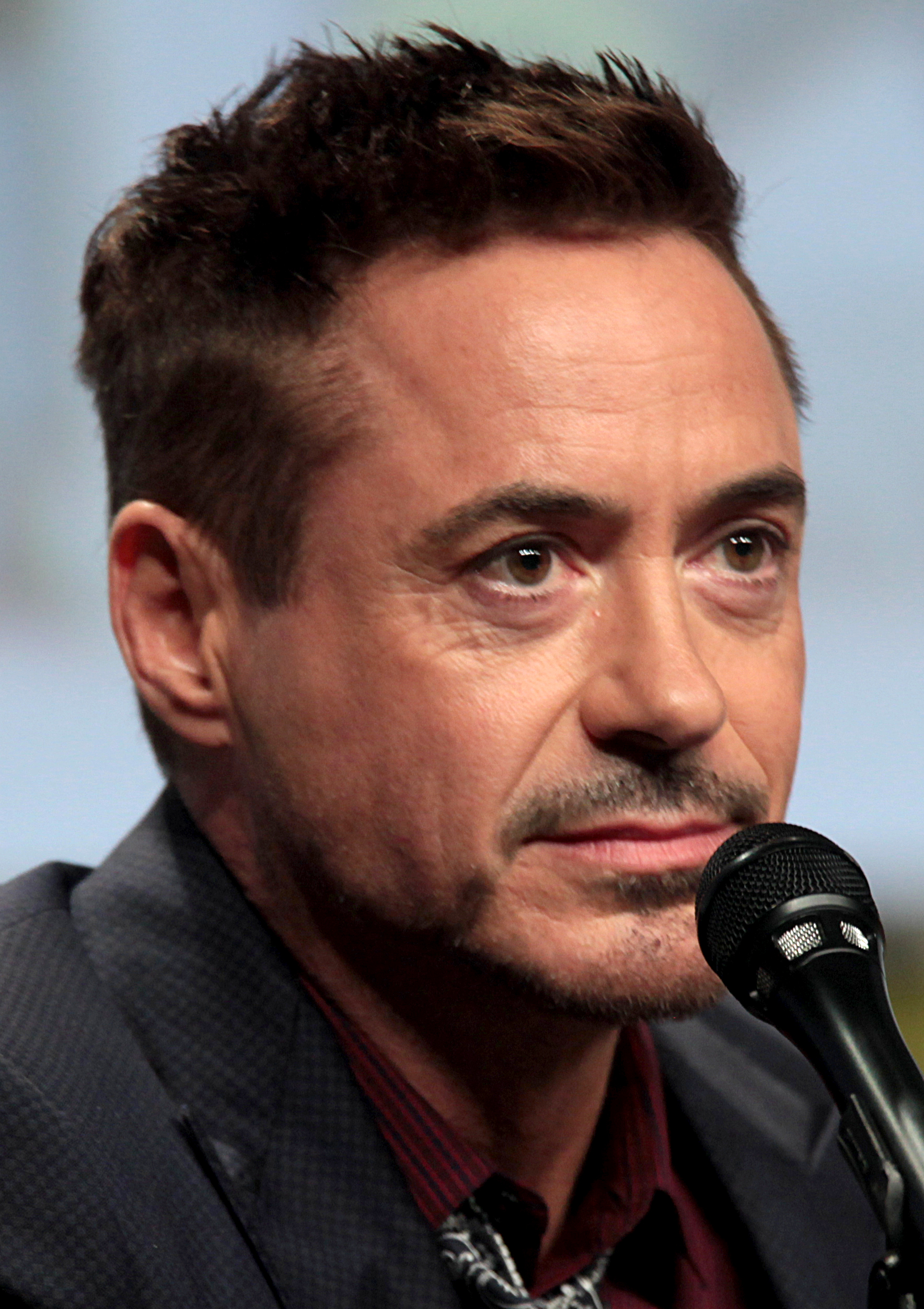 Robert Downey Jr. fotka