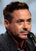 Robert Downey Jr. fotka