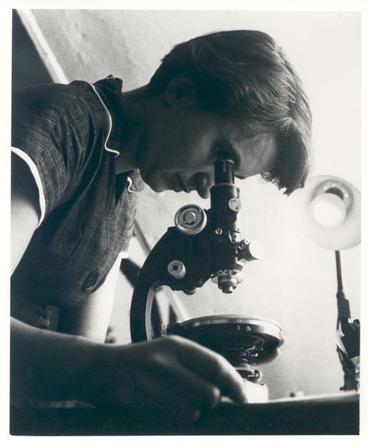 Rosalind Elsie Franklin fotka