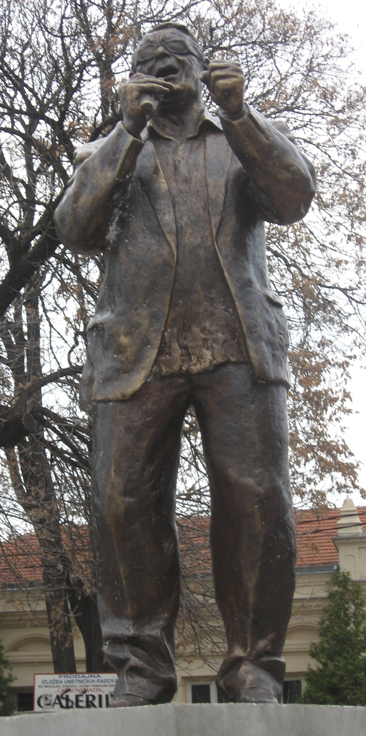 Šaban Bajramović fotka