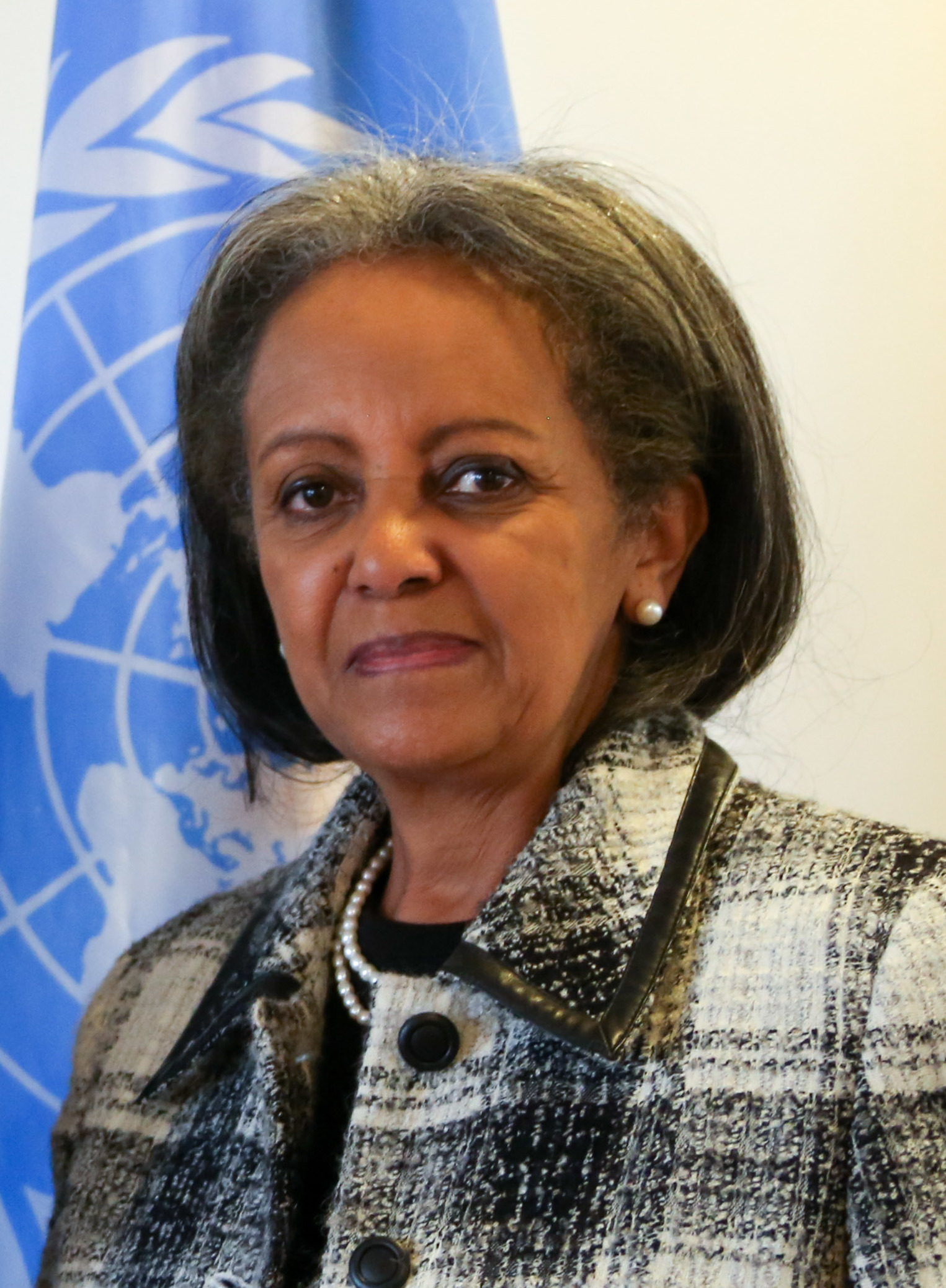 Sahle-Work Zewde fotka