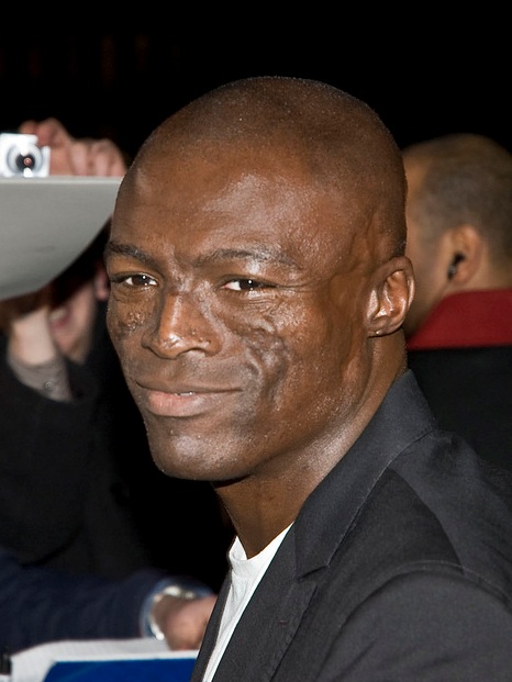 Seal fotka