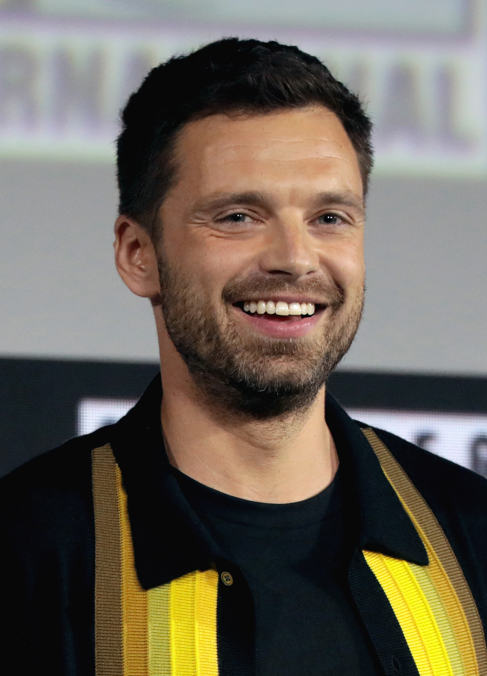 Sebastian Stan fotka