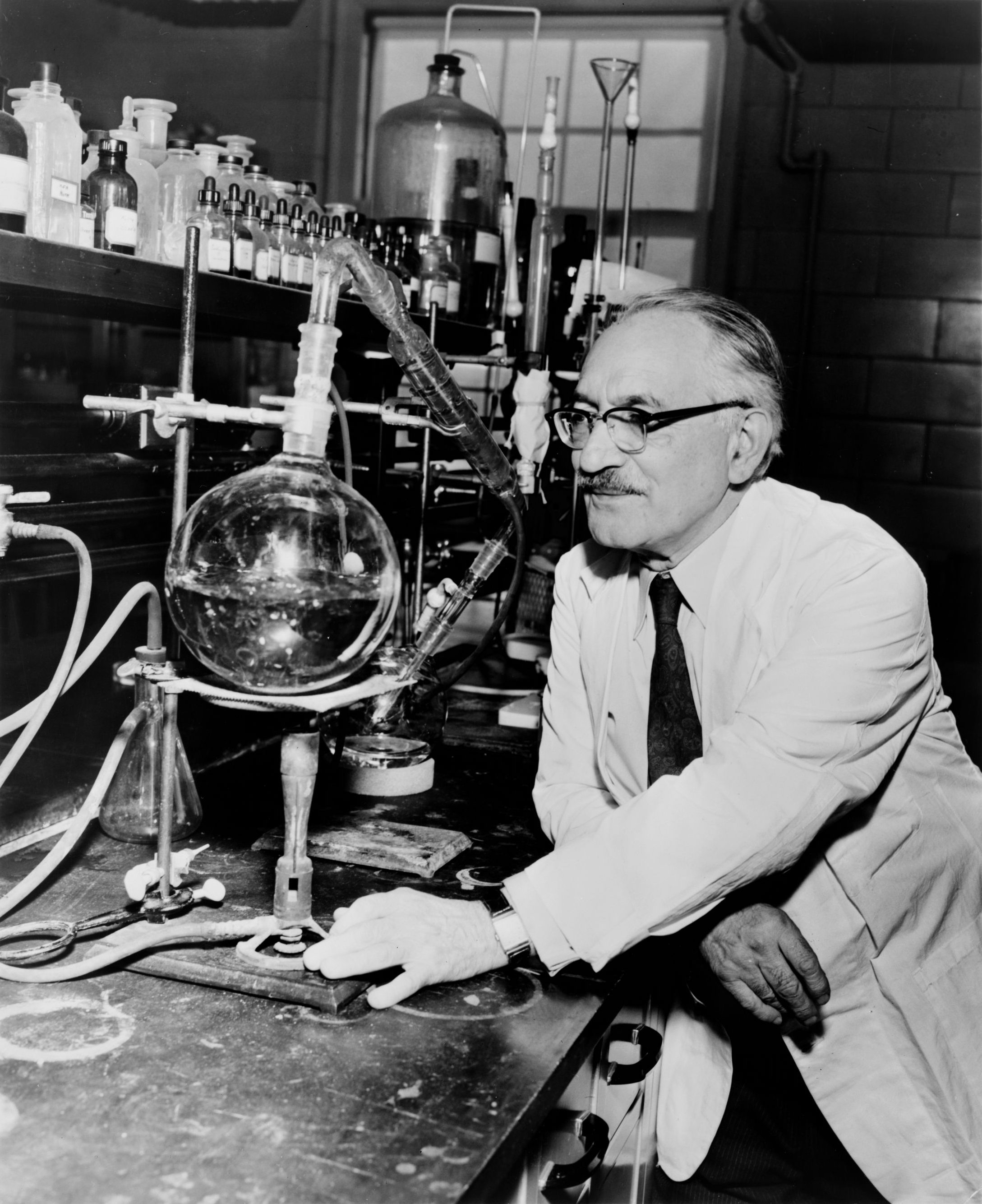 Selman Waksman fotka
