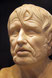 Seneca fotka