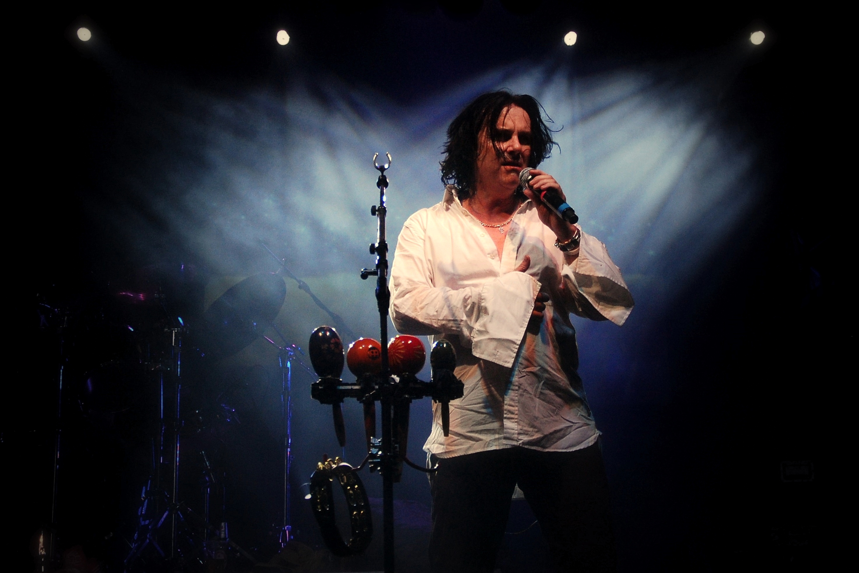 Steve Hogarth fotka