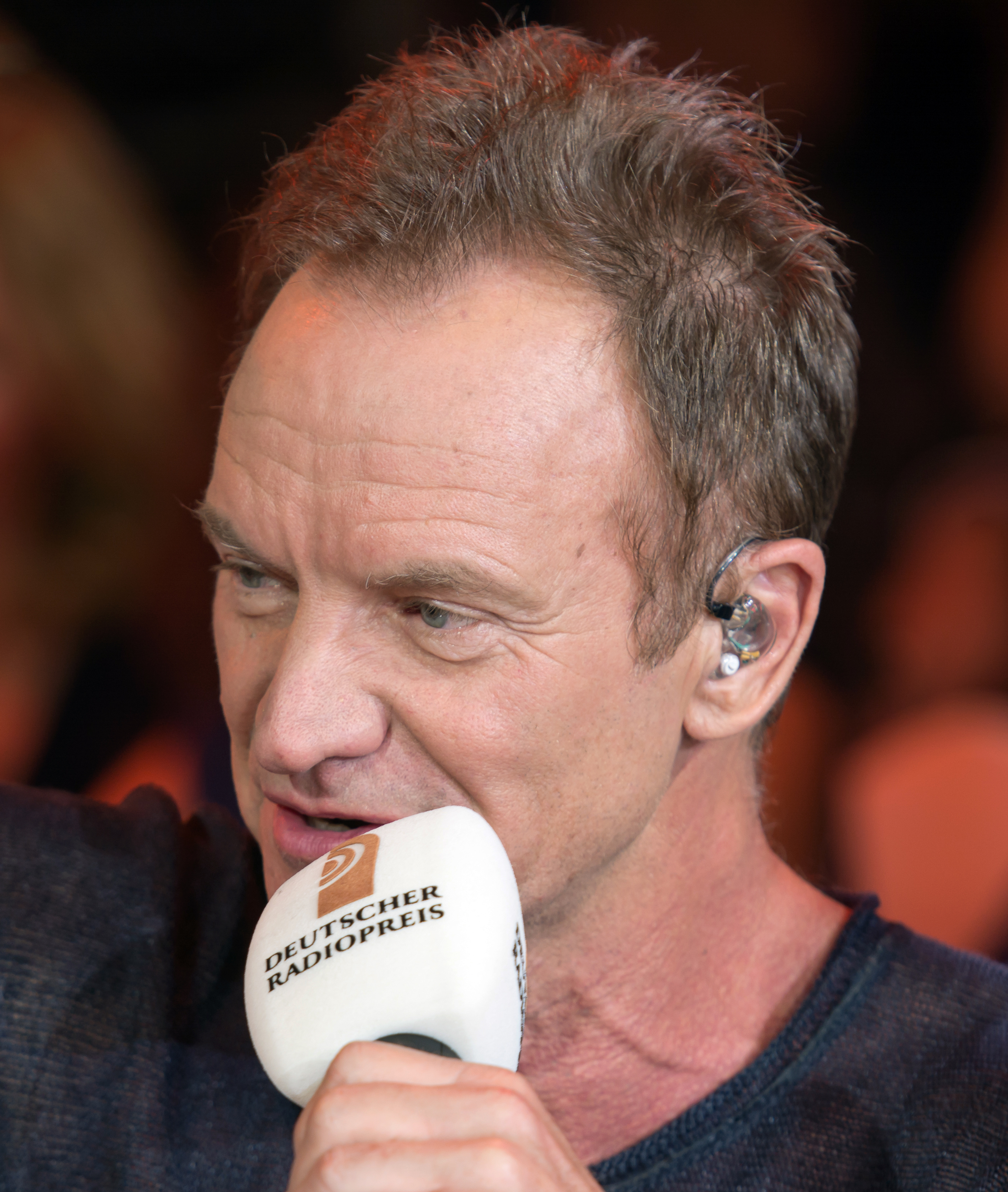 Sting fotka
