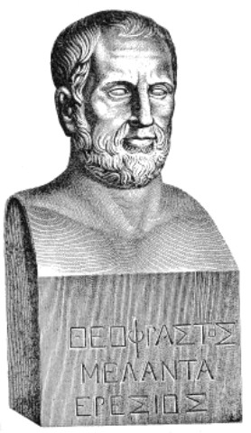 Theofrastos fotka