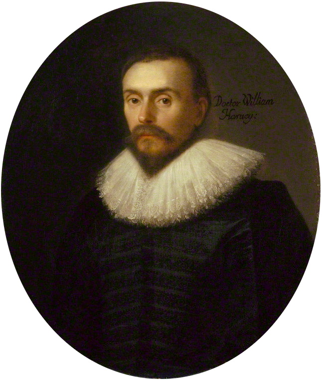 William Harvey fotka