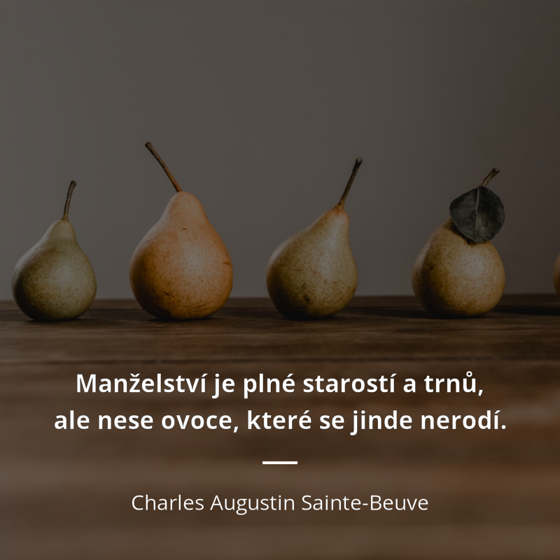 Charles Augustin Sainte-Beuve citát: „Manželství je plné starostí a trnů, ale nese ovoce, které se jinde nerodí.“