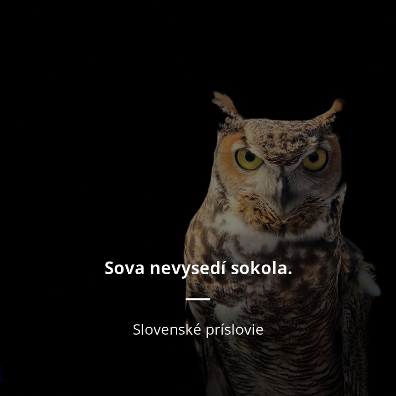 Slovenské príslovie: „Sova nevysedí sokola.“